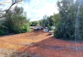 Non-developable land for sale on España, Gerena, ref: TR396905 photo