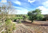 Non-developable land for sale on España, Gerena, ref: TR396905 photo