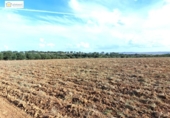 Non-developable land for sale on España, Gerena, ref: TR396905 photo