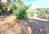 Non-developable land for sale on España, Gerena, ref: TR396905 photo