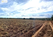 Non-developable land for sale on España, Gerena, ref: TR396905 photo