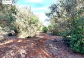 Non-developable land for sale on España, Gerena, ref: TR396905 photo