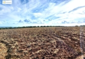 Non-developable land for sale on España, Gerena, ref: TR396905 photo