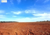 Non-developable land for sale on España, Gerena, ref: TR396905 photo
