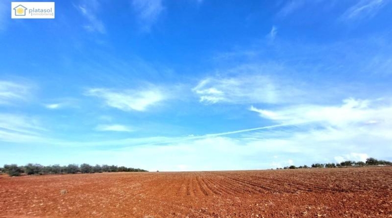 Alava - Vitoria - 67516m2