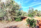 Non-developable land for sale on España, Gerena, ref: TR396905 photo