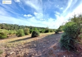 Non-developable land for sale on España, Gerena, ref: TR396905 photo
