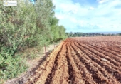 Non-developable land for sale on España, Gerena, ref: TR396905 photo