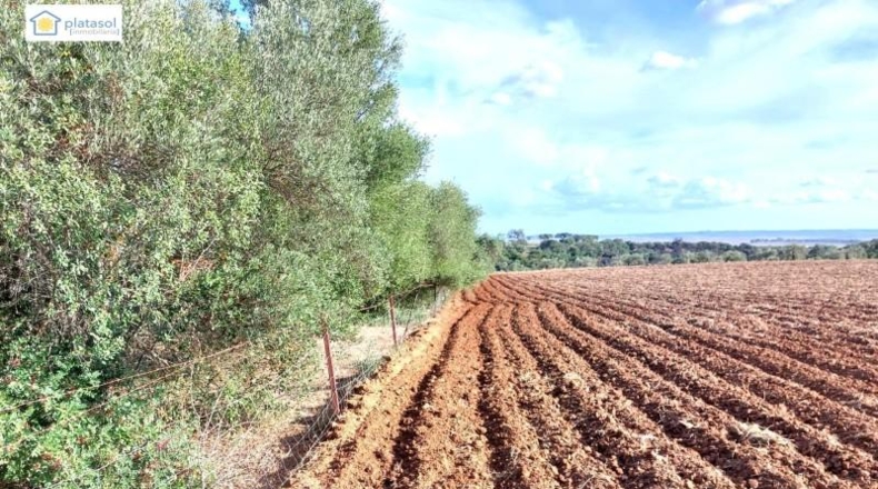 Alava - Vitoria - 67516m2