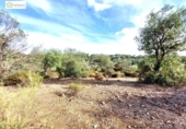 Non-developable land for sale on España, Gerena, ref: TR396905 photo