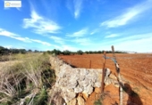 Non-developable land for sale on España, Gerena, ref: TR396905 photo