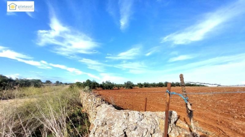 Alava - Vitoria - 67516m2