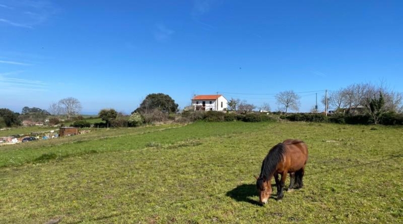 Comunidad de Madrid - Madrid - 2766m2
