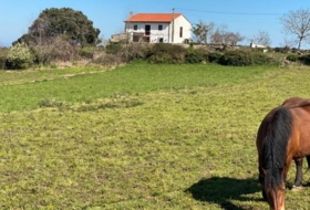 Lamadrid 2766&nbsp;м²