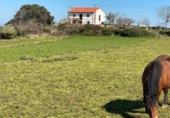 Terreno no urbanizable en venta en la España, Lamadrid, ref: TR396765 foto