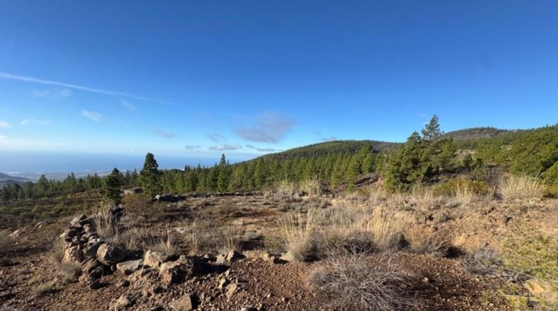 Santa Cruz de Tenerife - Granadilla de Abona - 50431m2