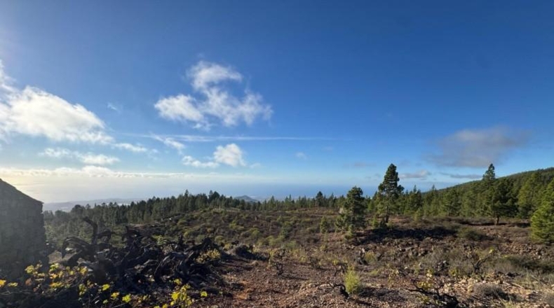 Santa Cruz de Tenerife - Granadilla de Abona - 50431m2