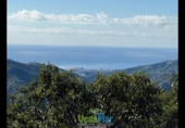 Country house with land for sale on España, Otívar, ref: TR398883 photo