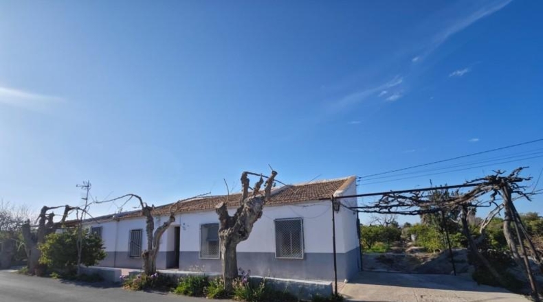 Valencia - Beniatjar - 1650m2