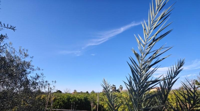 Valencia - Beniatjar - 1650m2