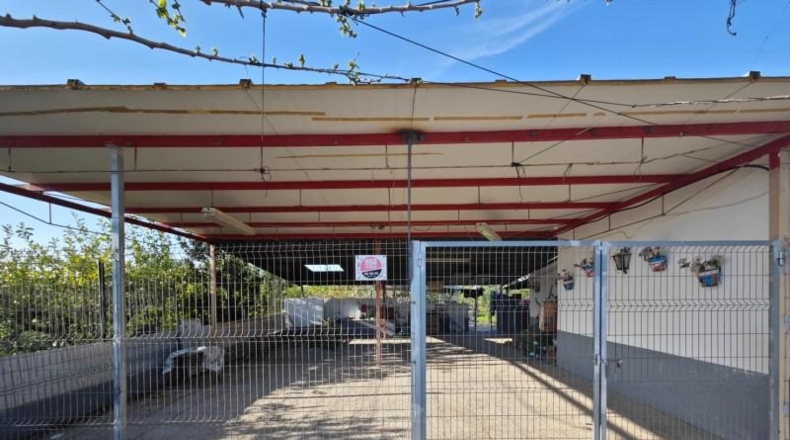 Valencia - Beniatjar - 1650m2