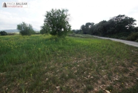 Algaida 13908&nbsp;m² 