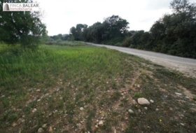 Algaida 13908&nbsp;m² 