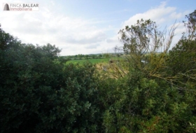 Algaida 13908&nbsp;m² 