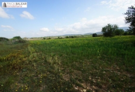 Algaida 13908&nbsp;m² 
