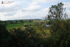 Algaida 13908&nbsp;m² 