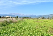 Detached villa with land for sale on España, Sa Pobla, ref: TR398123 photo