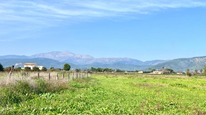 Valencia - la Pobla Llarga - 9153m2