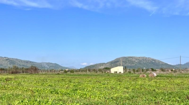 Valencia - la Pobla Llarga - 9153m2