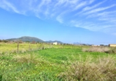 Detached villa with land for sale on España, Sa Pobla, ref: TR398123 photo