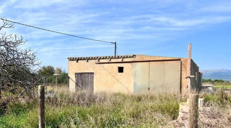 Valencia - la Pobla Llarga - 9153m2