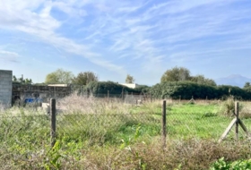 sa Pobla 9153&nbsp;m² 
