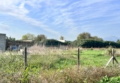Detached villa with land for sale on España, Sa Pobla, ref: TR398123 photo