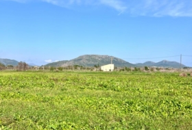 sa Pobla 9153&nbsp;m² 