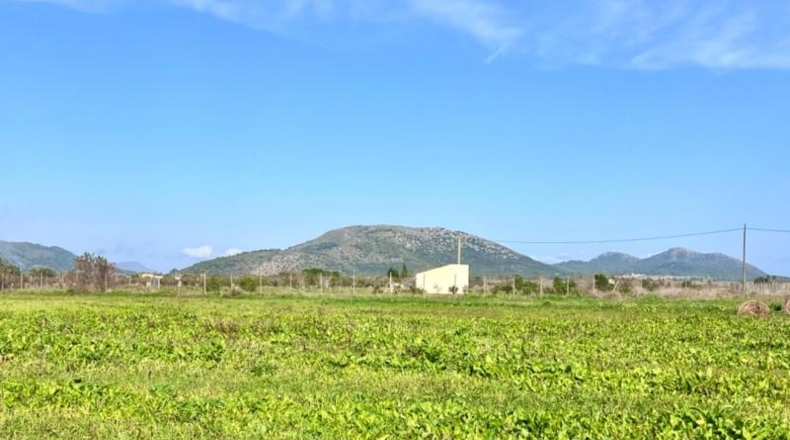 Valencia - la Pobla Llarga - 9153m2