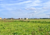 Detached villa with land for sale on España, Sa Pobla, ref: TR398123 photo