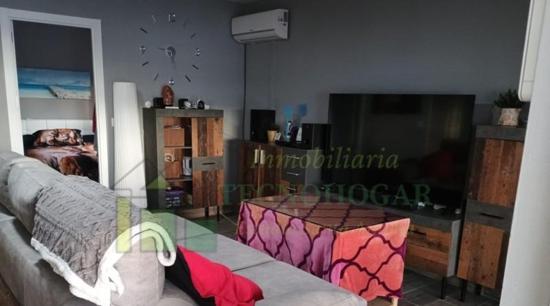 Sevilla - Los Palacios y Villafranca - 600m2