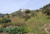 Casa de camp amb terreny en venda a la España, Rubite, ref.: TR397947 foto