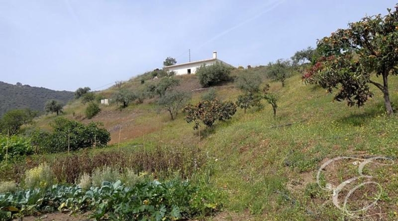 Granada - Rubite - 10694m2