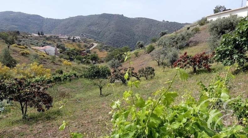 Granada - Rubite - 10694m2
