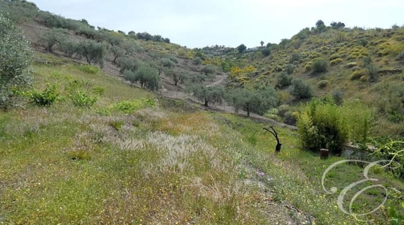 Granada - Rubite - 10694m2
