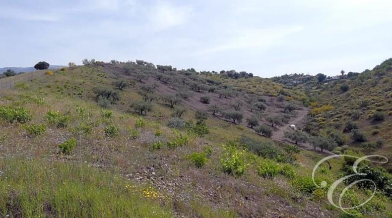 Granada - Rubite - 10694m2