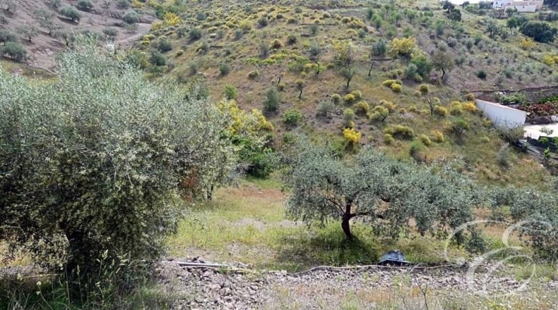 Granada - Rubite - 10694m2