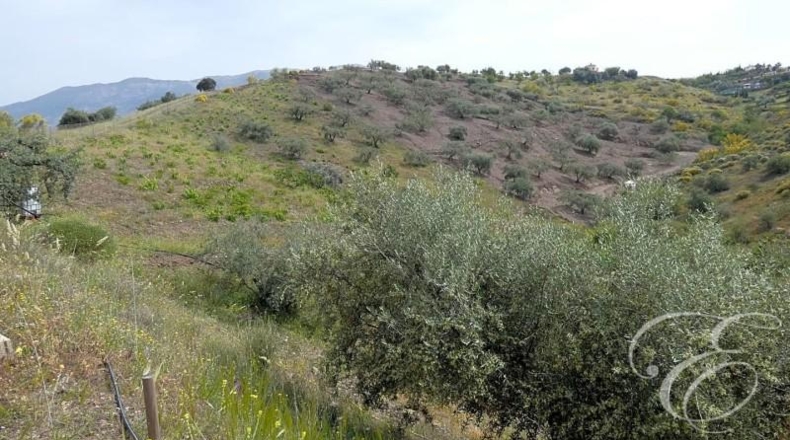 Granada - Rubite - 10694m2