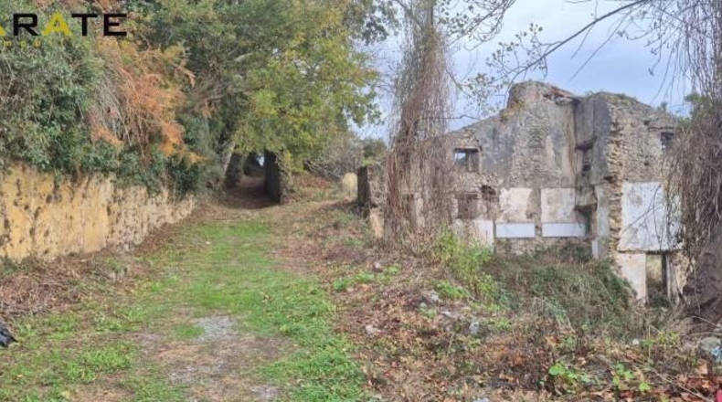Sevilla - Isla Mayor - 480m2