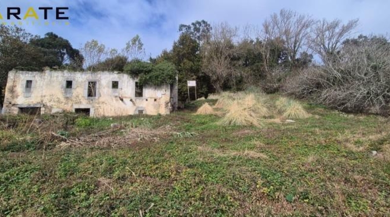 Sevilla - Isla Mayor - 480m2